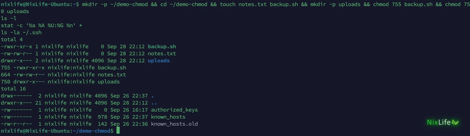 ls -l и stat в терминале Ubuntu: backup.sh 755, notes.txt 664, папка uploads 750, папка .ssh с правами 700 и файлами 600
