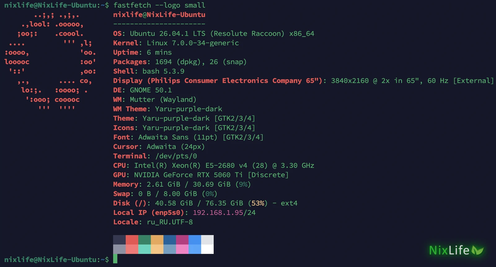 fastfetch с маленьким логотипом Ubuntu: те же данные, но карточка компактнее