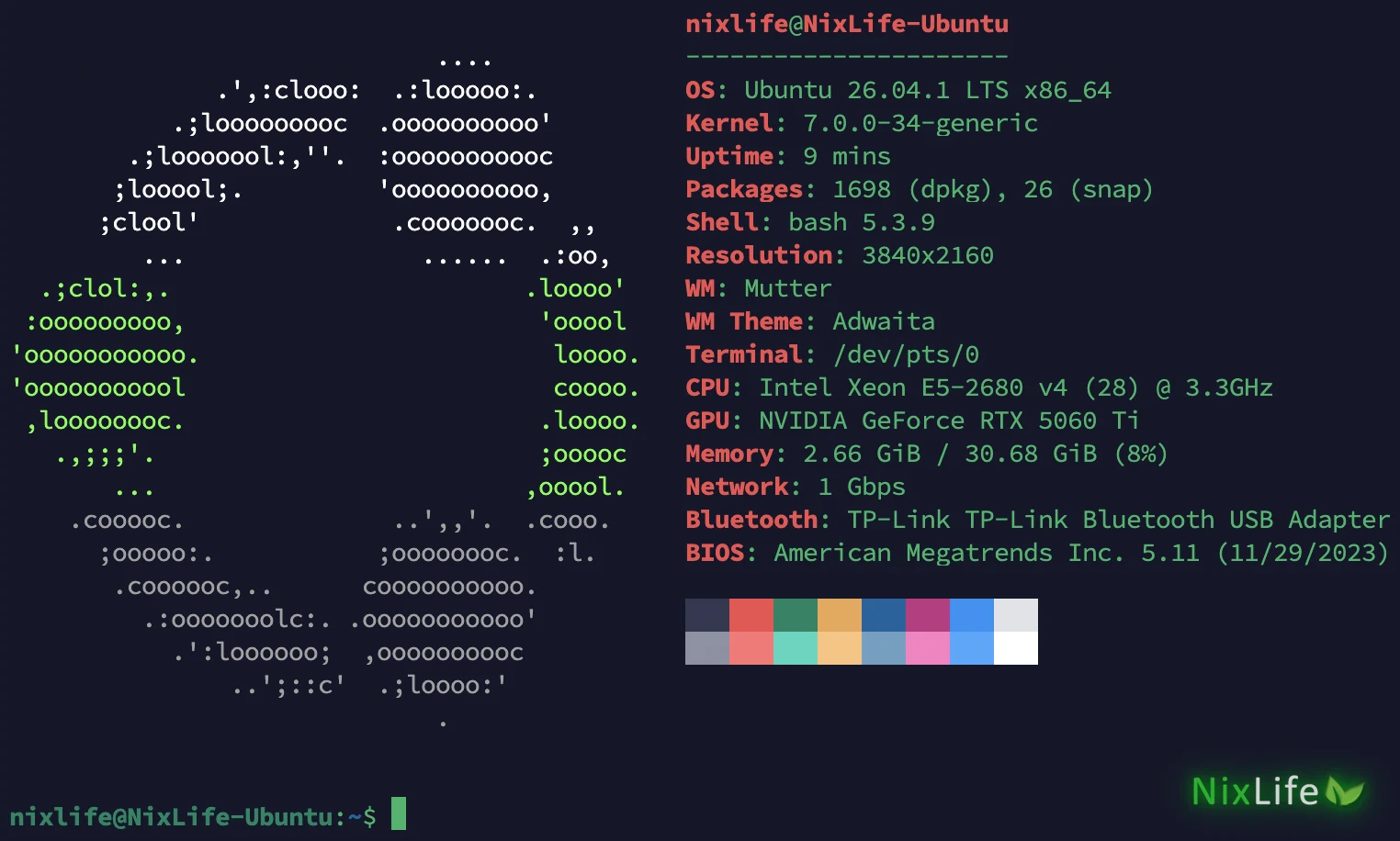 Вывод hyfetch: логотип Ubuntu в бело-зелёно-сером цвете и сводка о системе с BIOS, сетью и Bluetooth