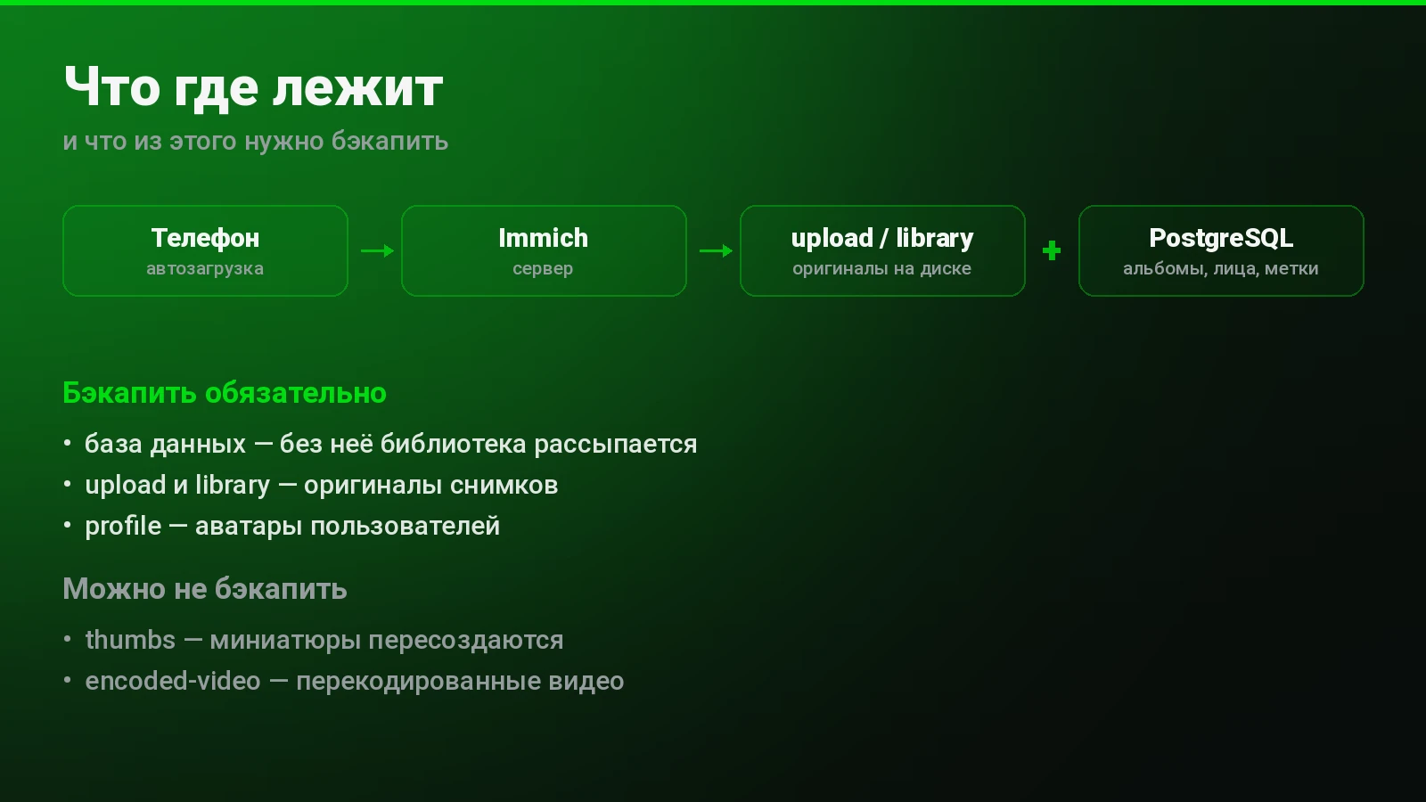 Что где лежит в Immich и что из этого нужно бэкапить