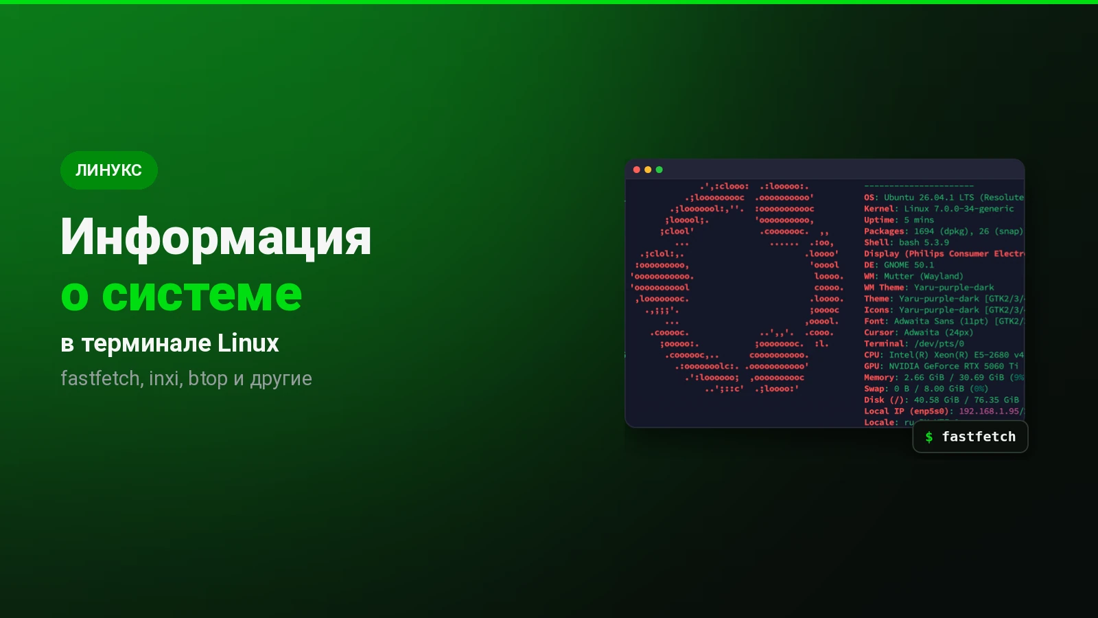 Информация о системе в терминале Linux: fastfetch, inxi, btop и ещё 16 команд