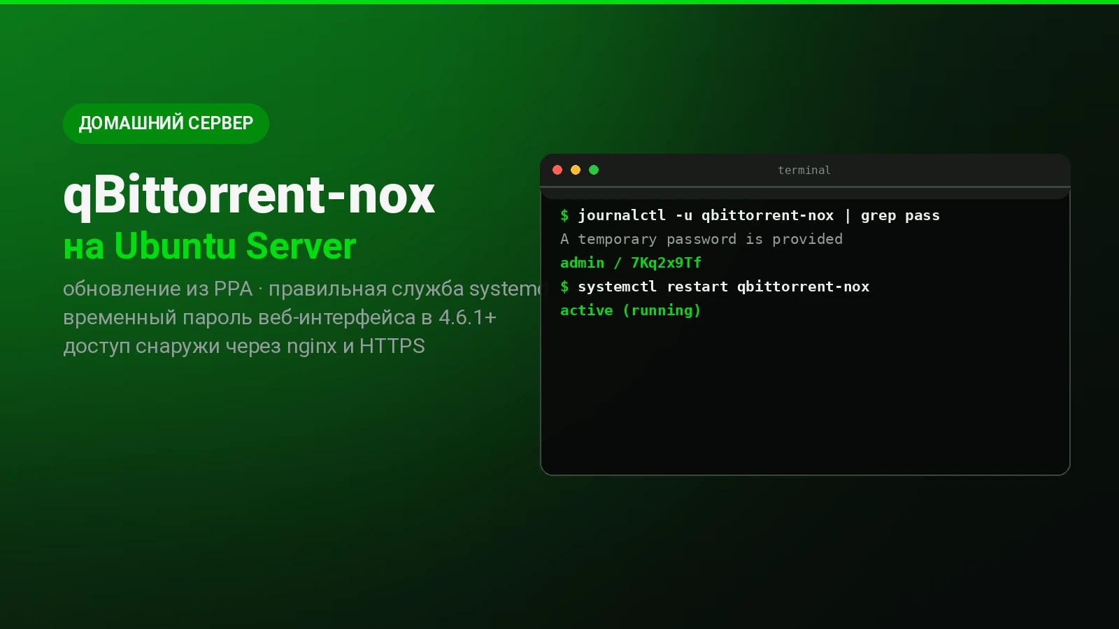 qBittorrent-nox на Ubuntu Server