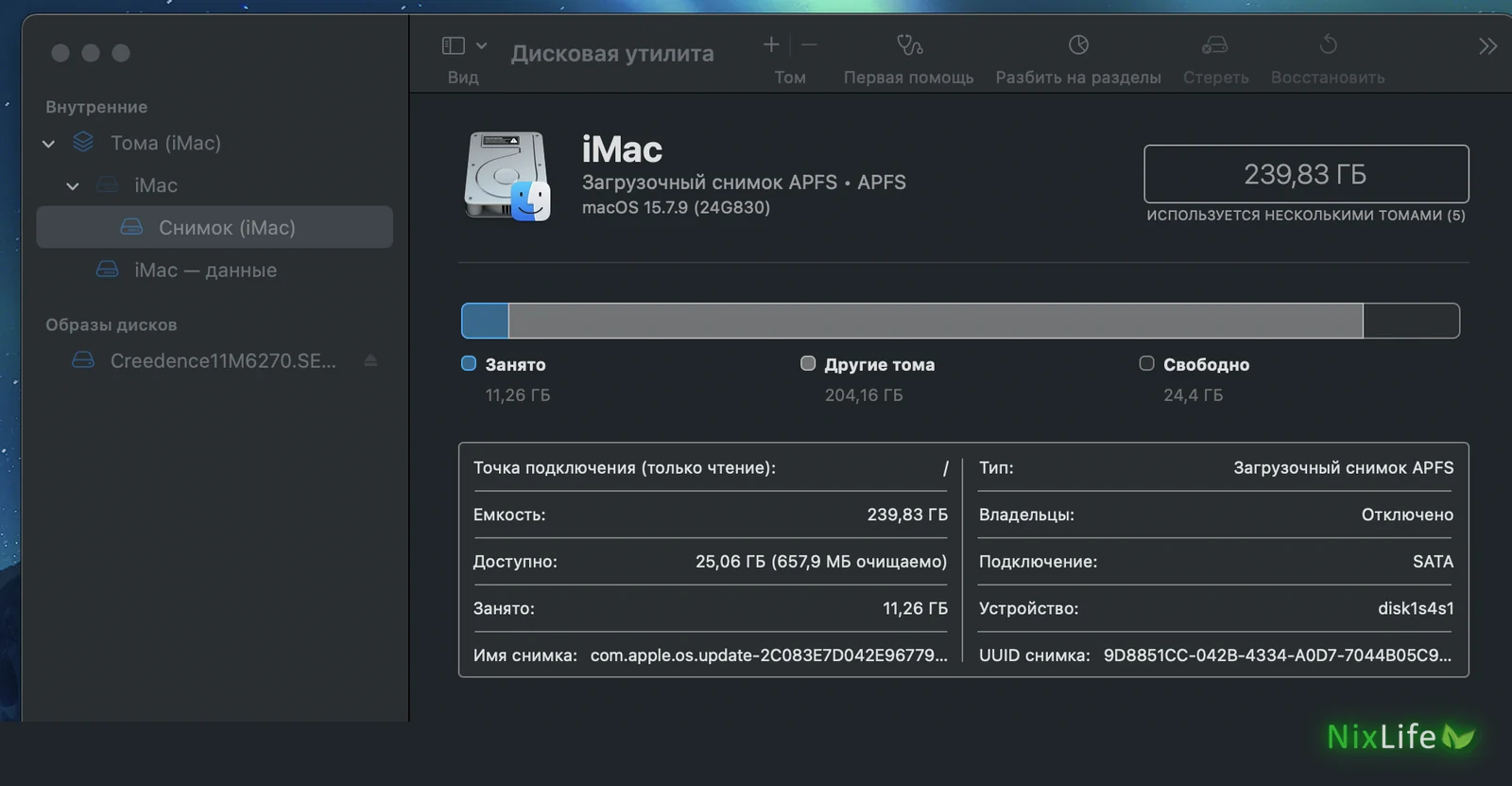 Дисковая утилита macOS: диск на 239,83 ГБ, свободно 24,4 ГБ