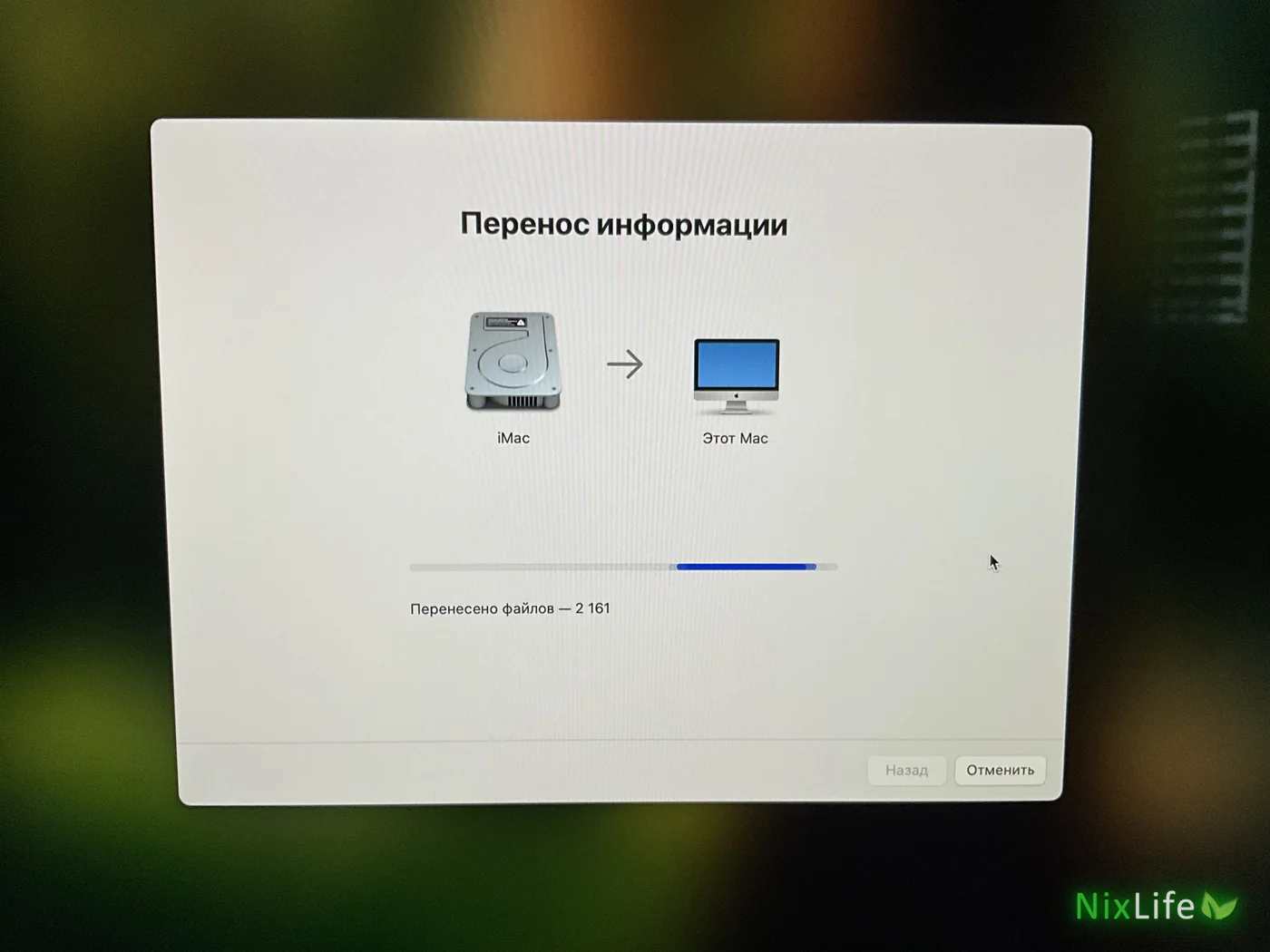 Перенос информации: идёт копирование файлов с iMac на этот Mac