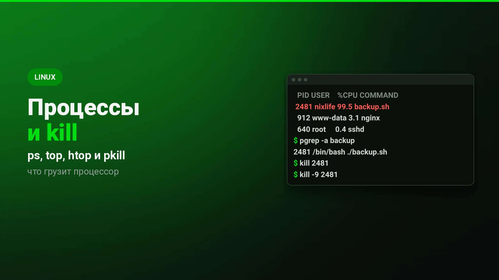 Как посмотреть и завершить процесс в Linux: ps, top, htop и kill