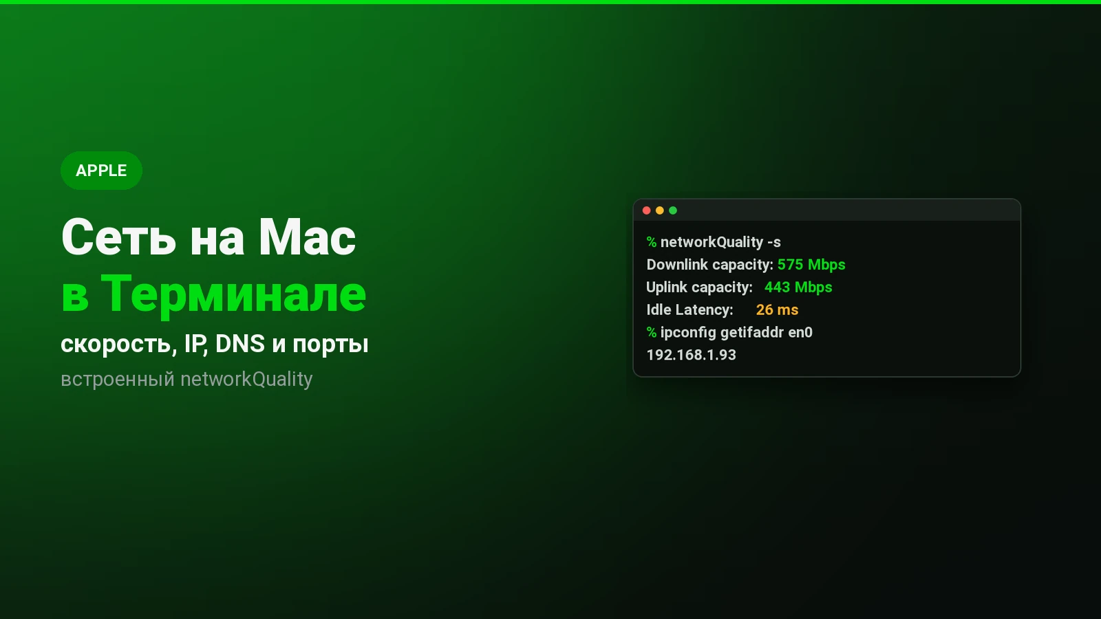 Сеть на Mac в Терминале: скорость интернета, IP-адрес, DNS и порты